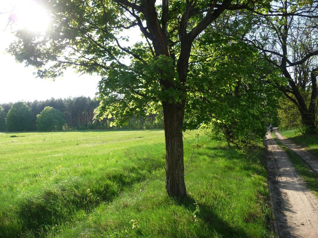 Gospodarstwo Agroturystyczne Lesniczowka Lubin  Exteriér fotografie